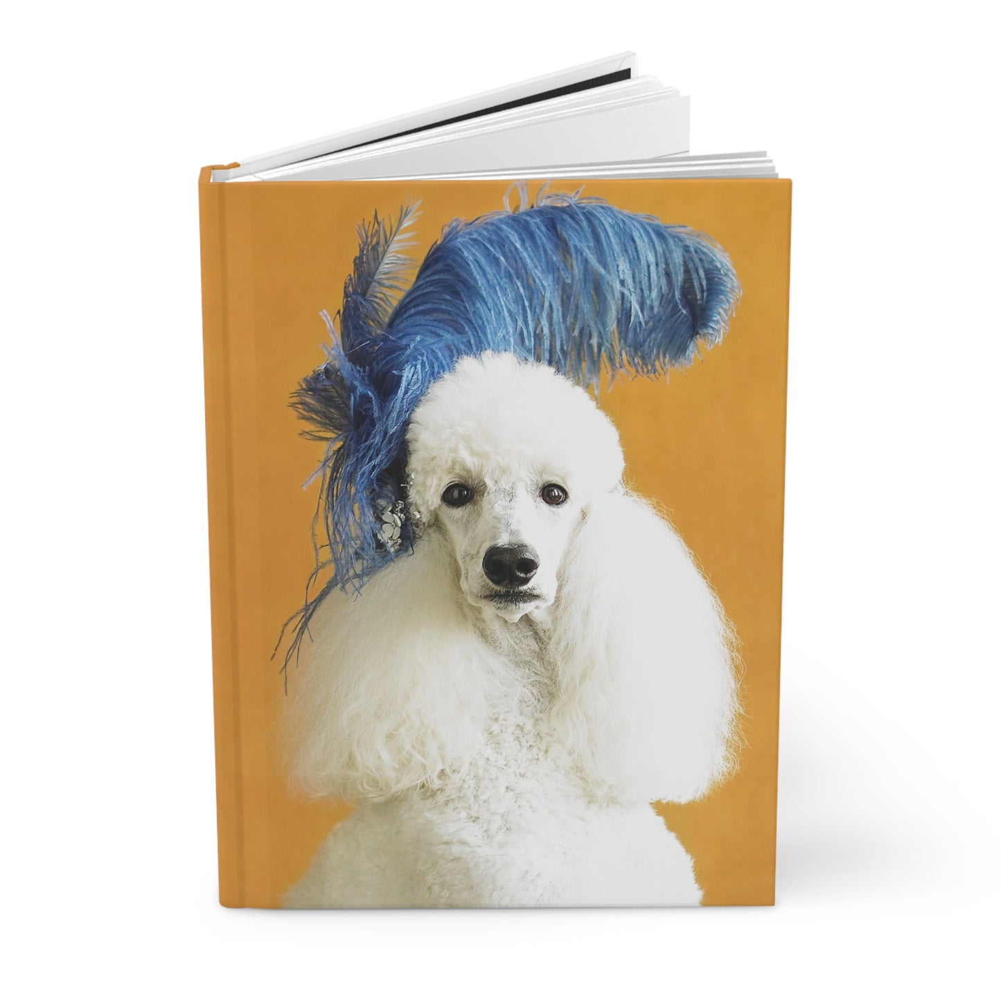 Priscilla Journal