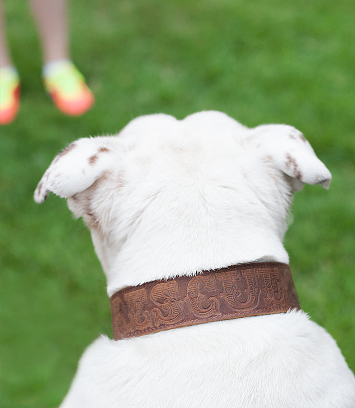 Leather "Rescue" Collar