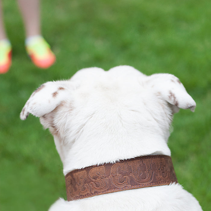 Leather "Rescue" Collar
