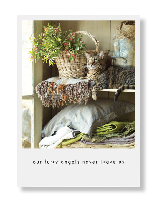 Benjamin Sympathy Greeting Card