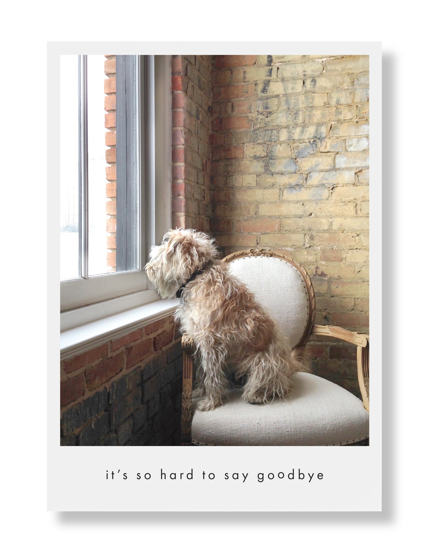 Murphy Sympathy Greeting Card