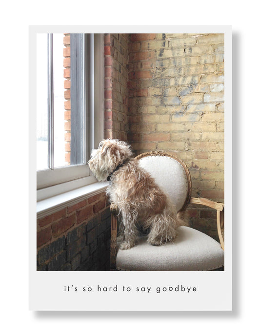 Murphy Sympathy Greeting Card