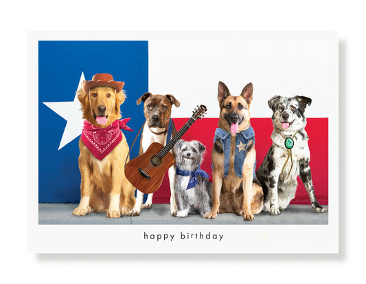 Fletch, Sugar, Cosmo, Ethel and Darcie Birthday Greeting Card