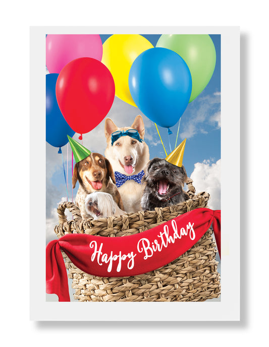 Pete, Booger, Rambler and Ron Birthday Greeting Card