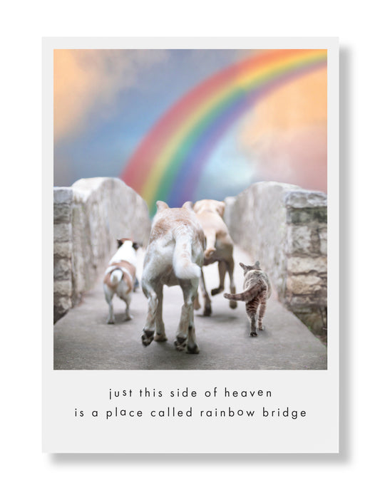 Rainbow Bridge Sympathy Greeting Card