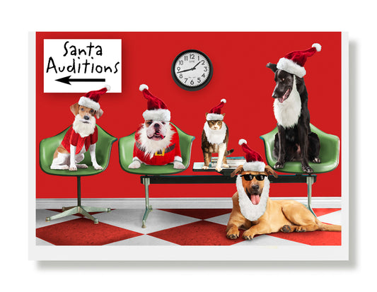 Leo, Tallulah, Bitsy, Milo & Barney Holiday Greeting Card