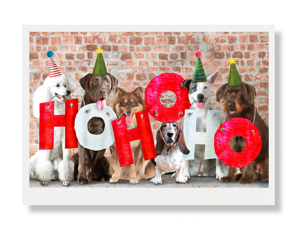 Priscilla, Cooper, Romeo...Holiday Greeting Card