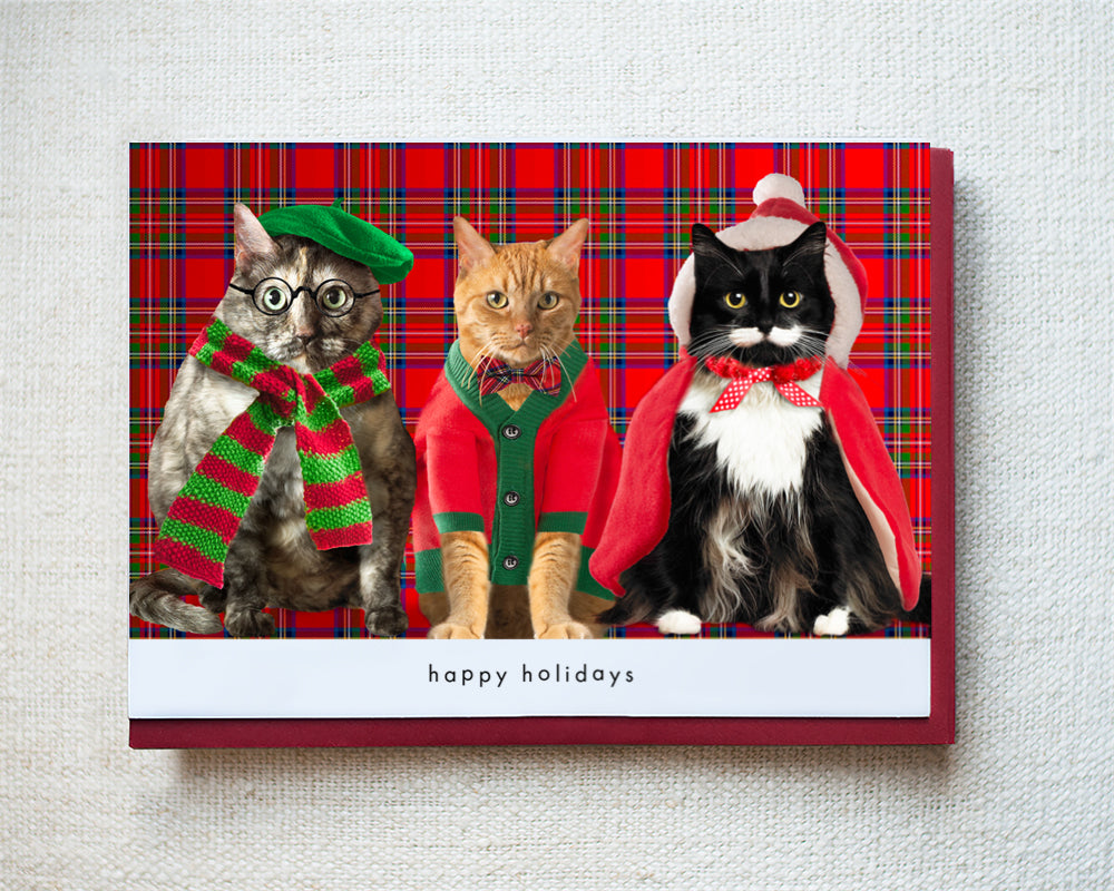 Travis, Benjamin, & Milo Greeting Card - Holiday 10 Pack