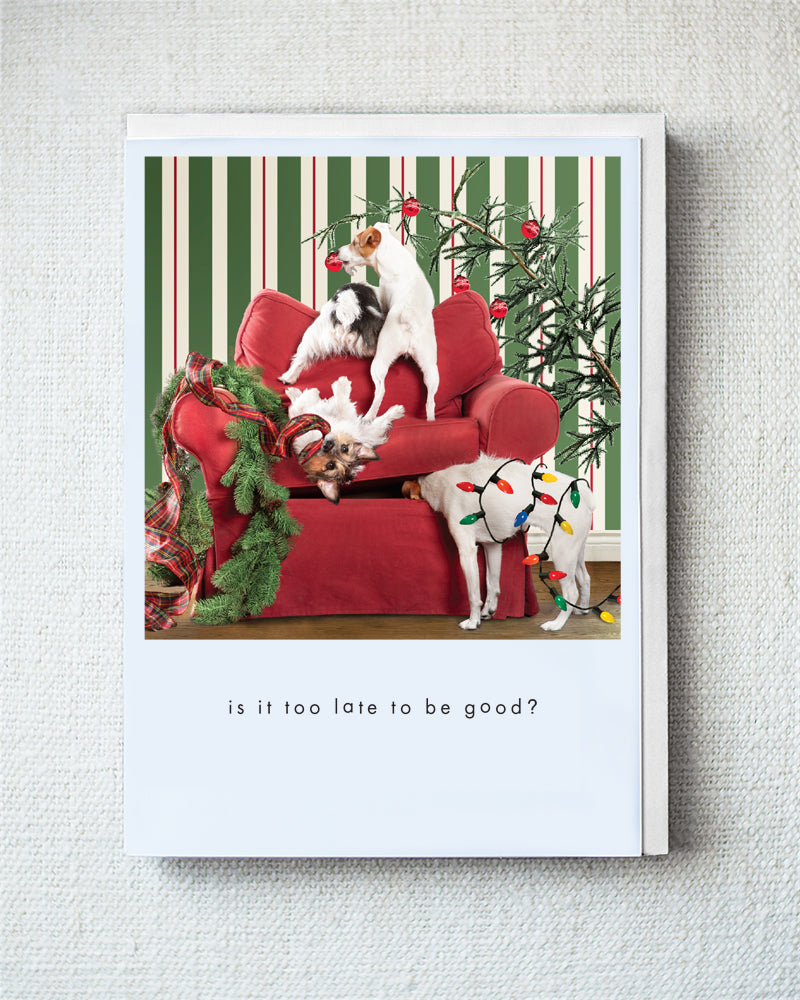 The Jack Pack Greeting Card - Holiday 10 Pack