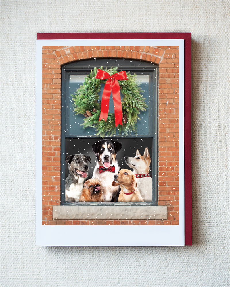Dandy, Roco, Lenny, Cecelia & Thor Greeting Card - Holiday 10 Pack