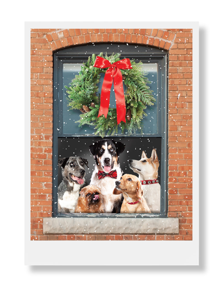 Dandy, Roco, Lenny, Cecelia & Thor Holiday Greeting Card