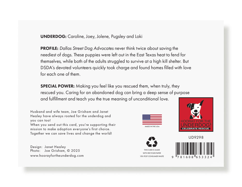 Caroline, Joey, Jolene, Pugsley and Loki Holiday Greeting Card