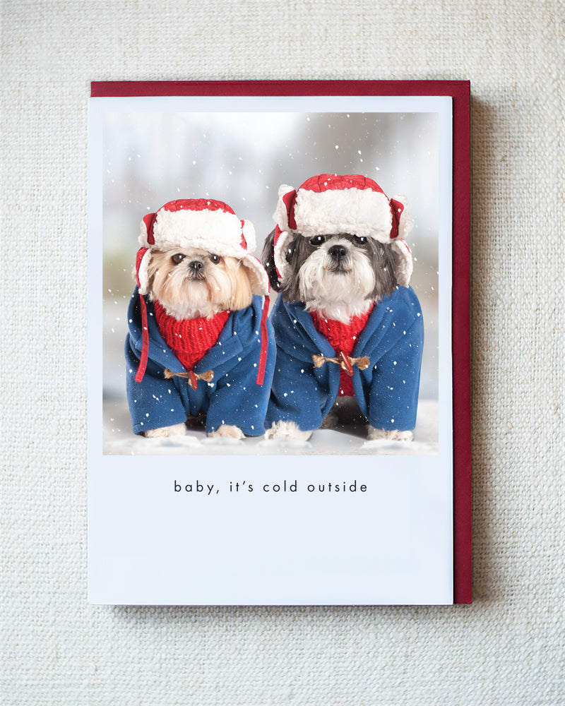 Dreamboat Annie and Charlotte Grace Snow Bunnys Greeting Card - Holiday 10 Pack