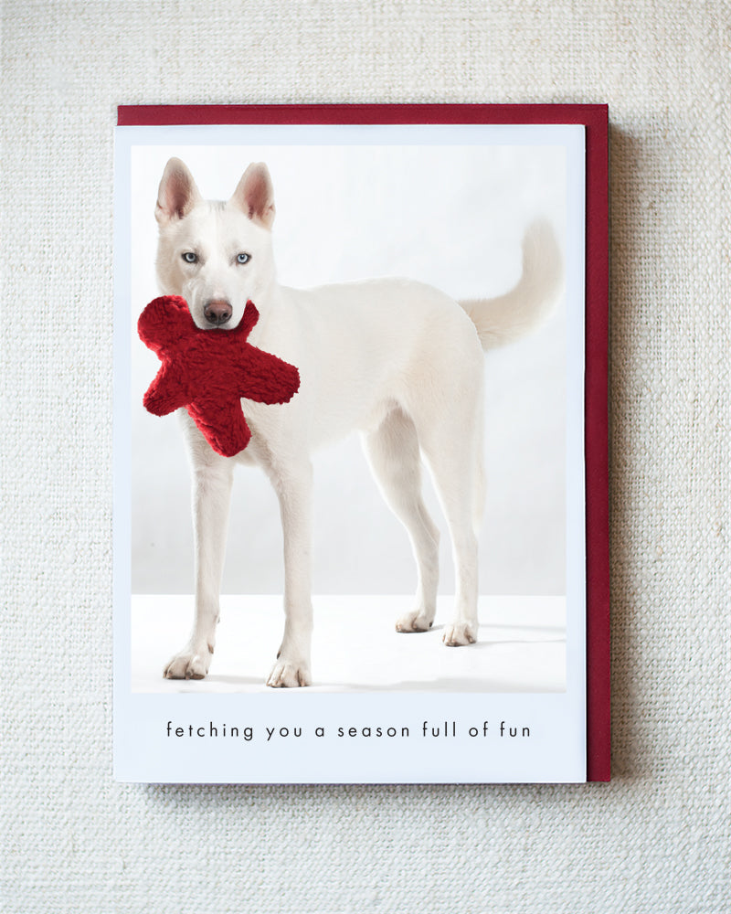 Rider Greeting Card - Holiday 10 Pack