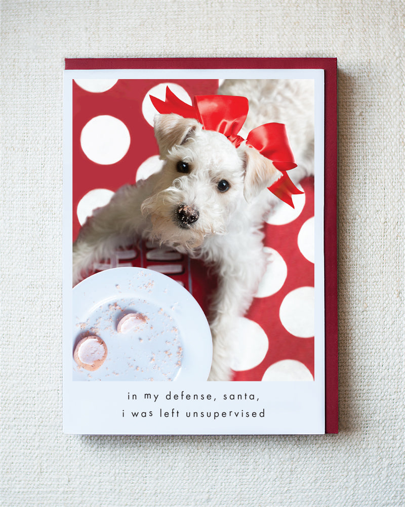 Henry Greeting Card - Holiday 10 Pack