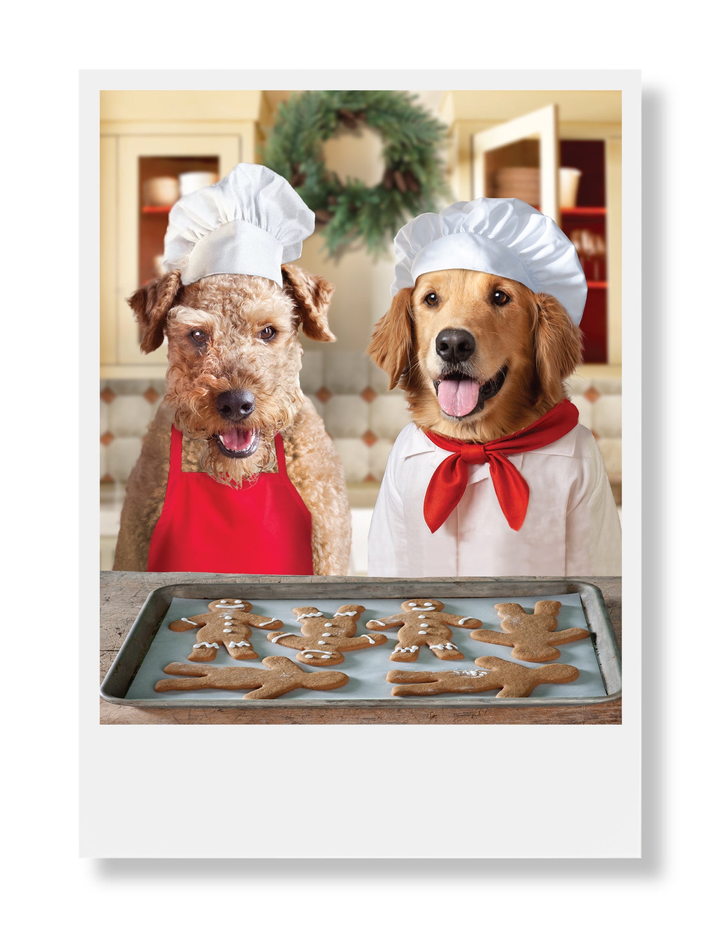 Lulu and Ginger Holiday Greeting Card