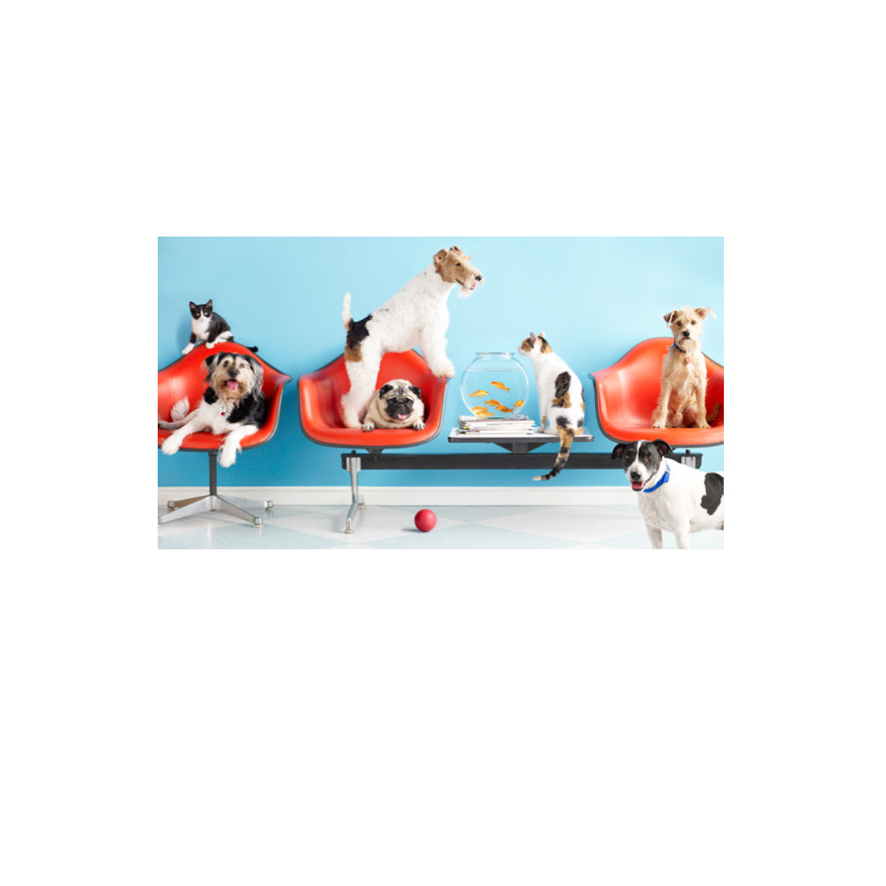 Waiting Room Print