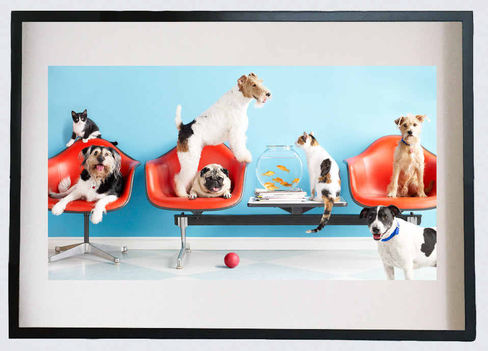 Waiting Room Print