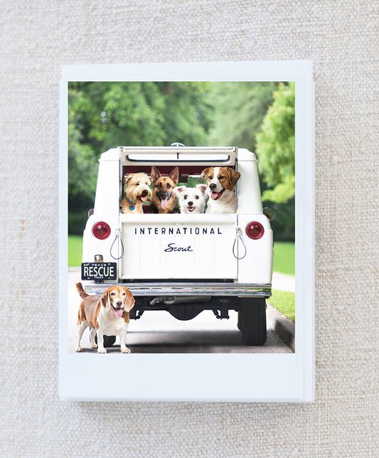 Jake, Marley, Ethel, Dexter and Davis Note Card Set