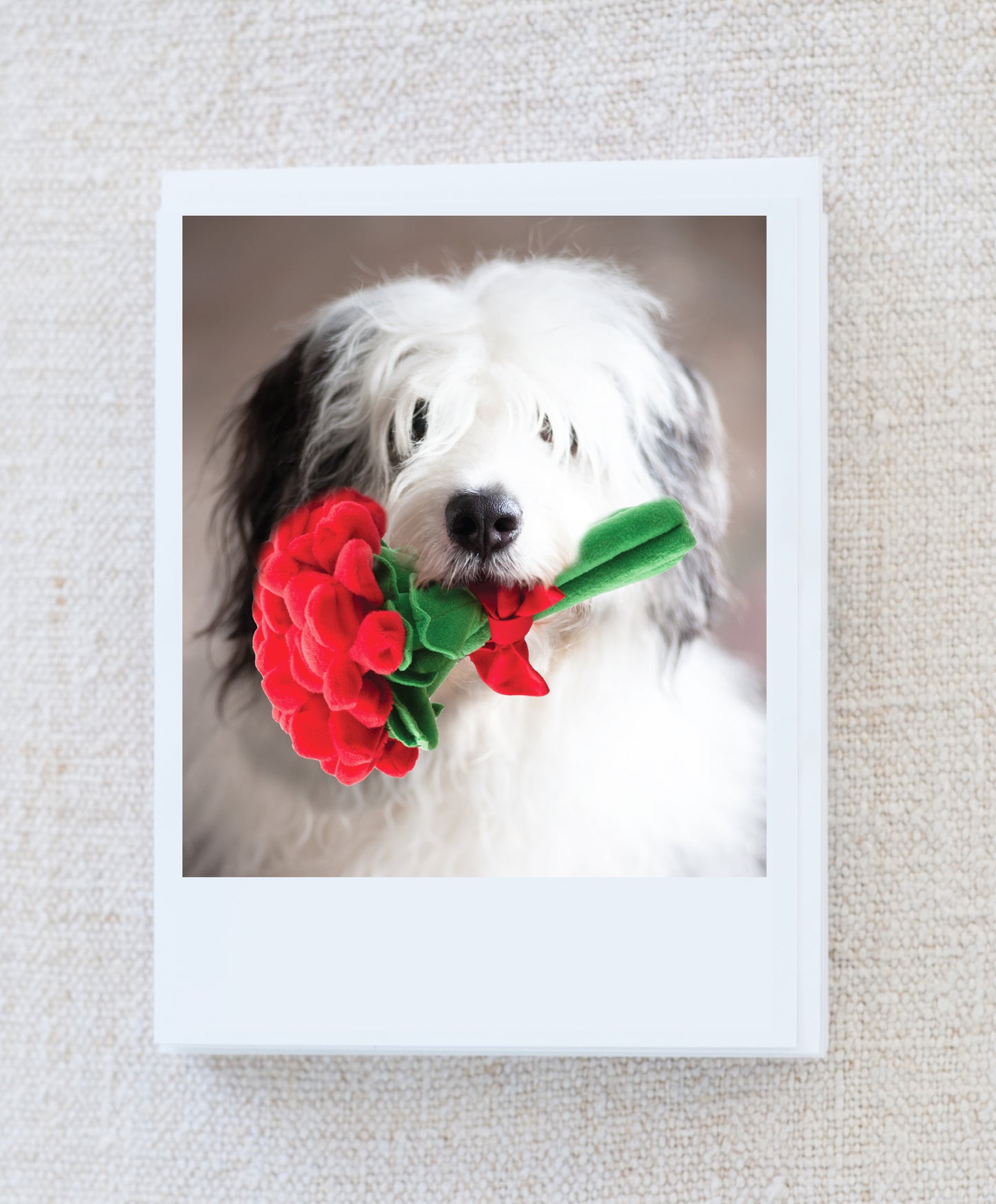 Quincy Valentine Note Card Set