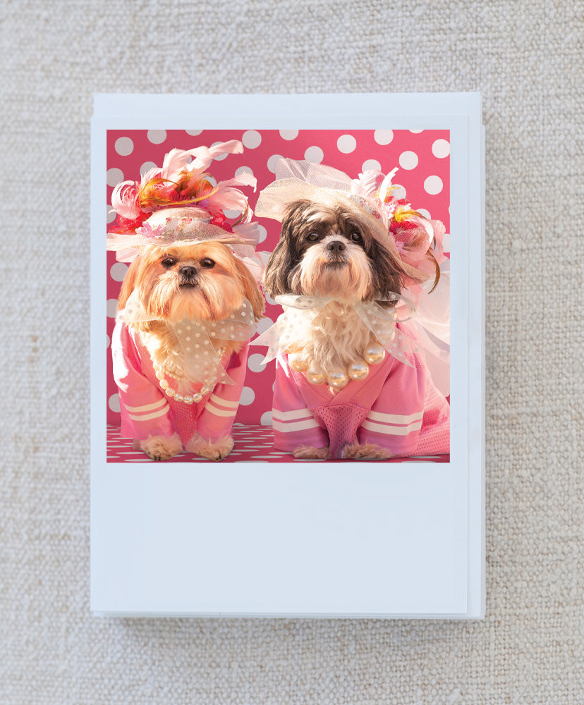 Dreamboat Annie & Charlotte Grace Valentine Note Card Set