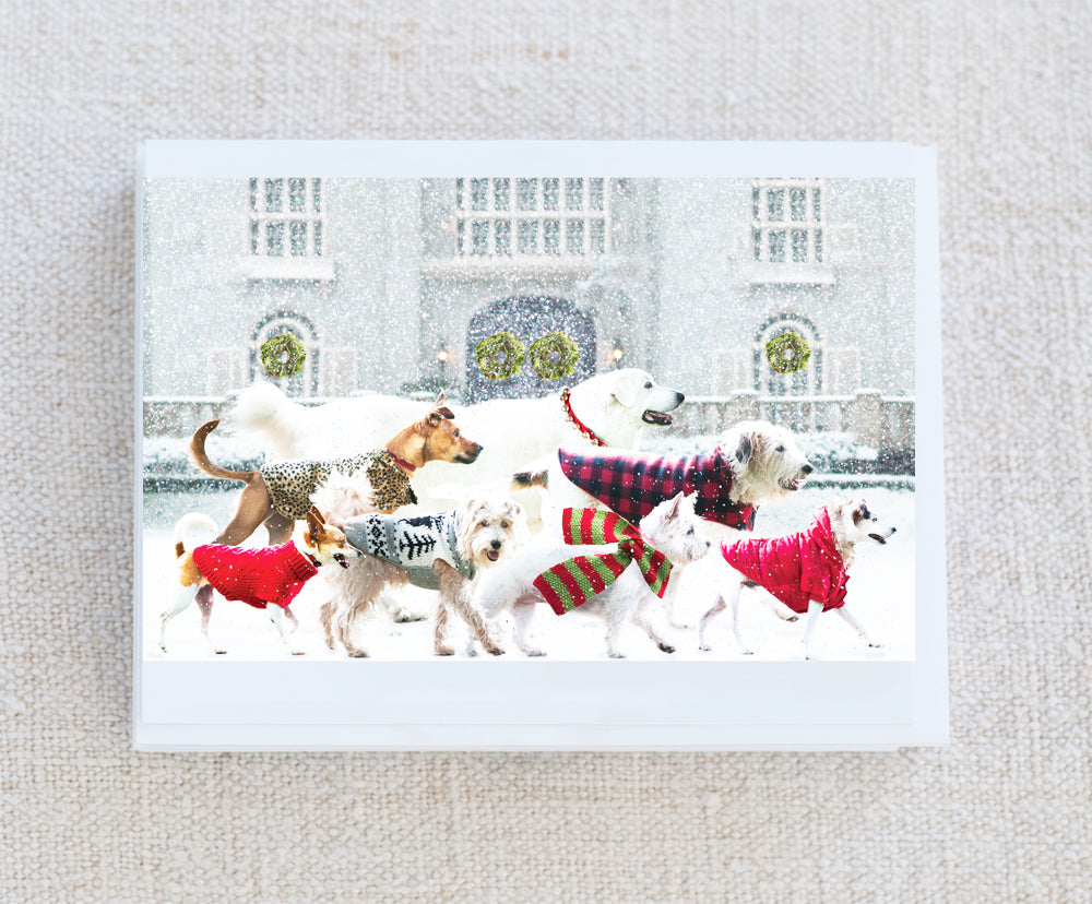 Winter Walkers Note Card Set