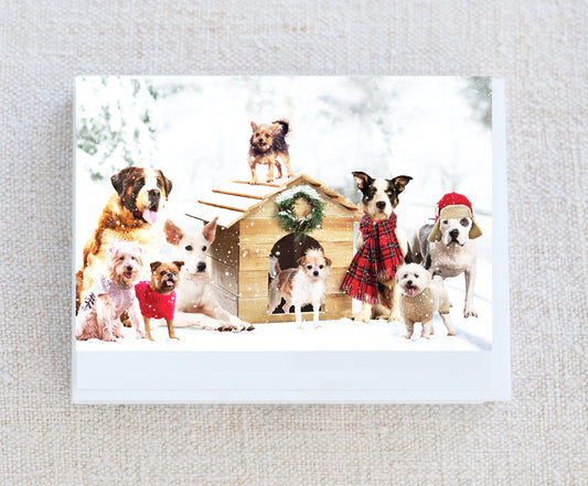 Emerson, Murphy...Holiday Note Card Set