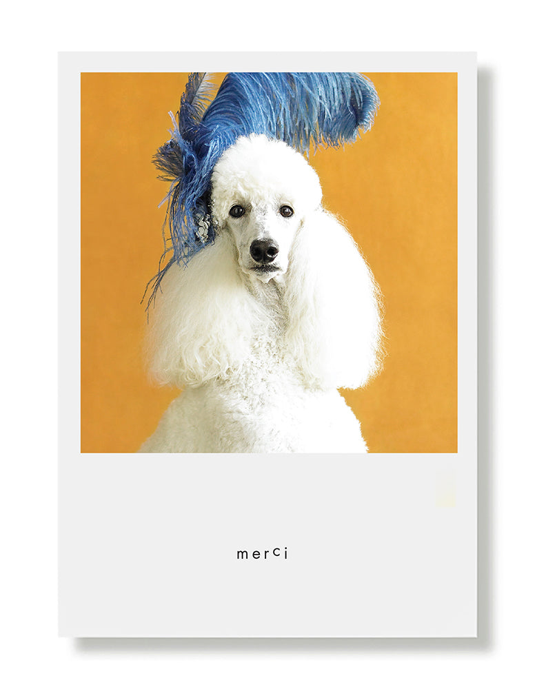 Priscilla Greeting Card