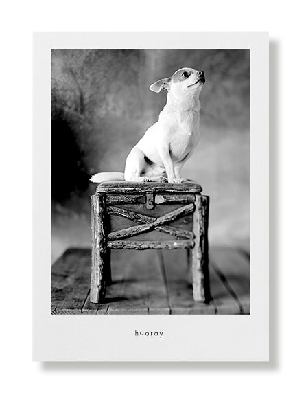 Pepe Greeting Card