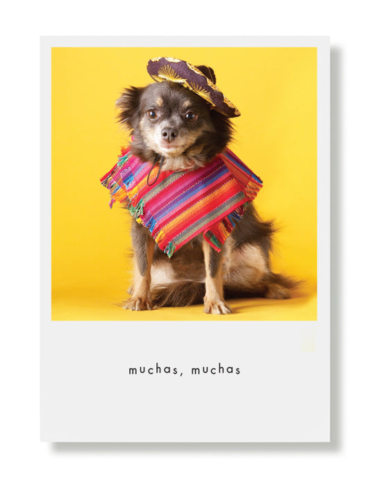 Maggie "Muchas Gracias" Greeting Card