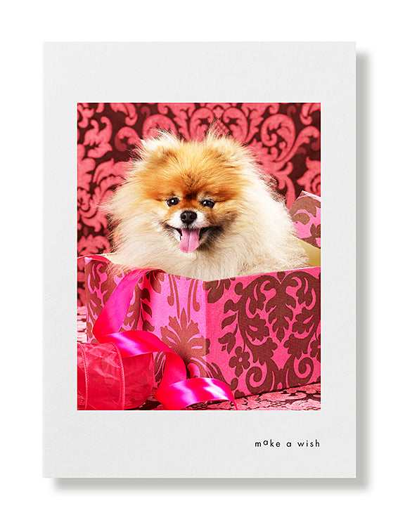 Manneke Birthday Greeting Card