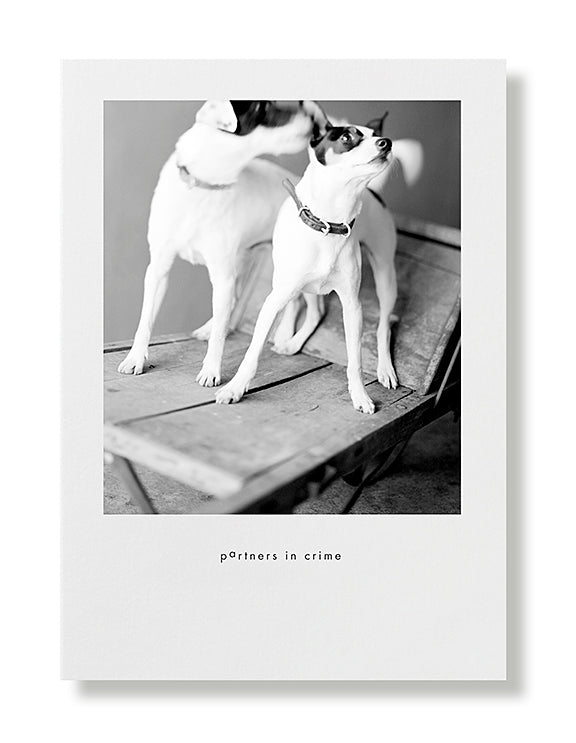 Ben and Bandit Greeting Card