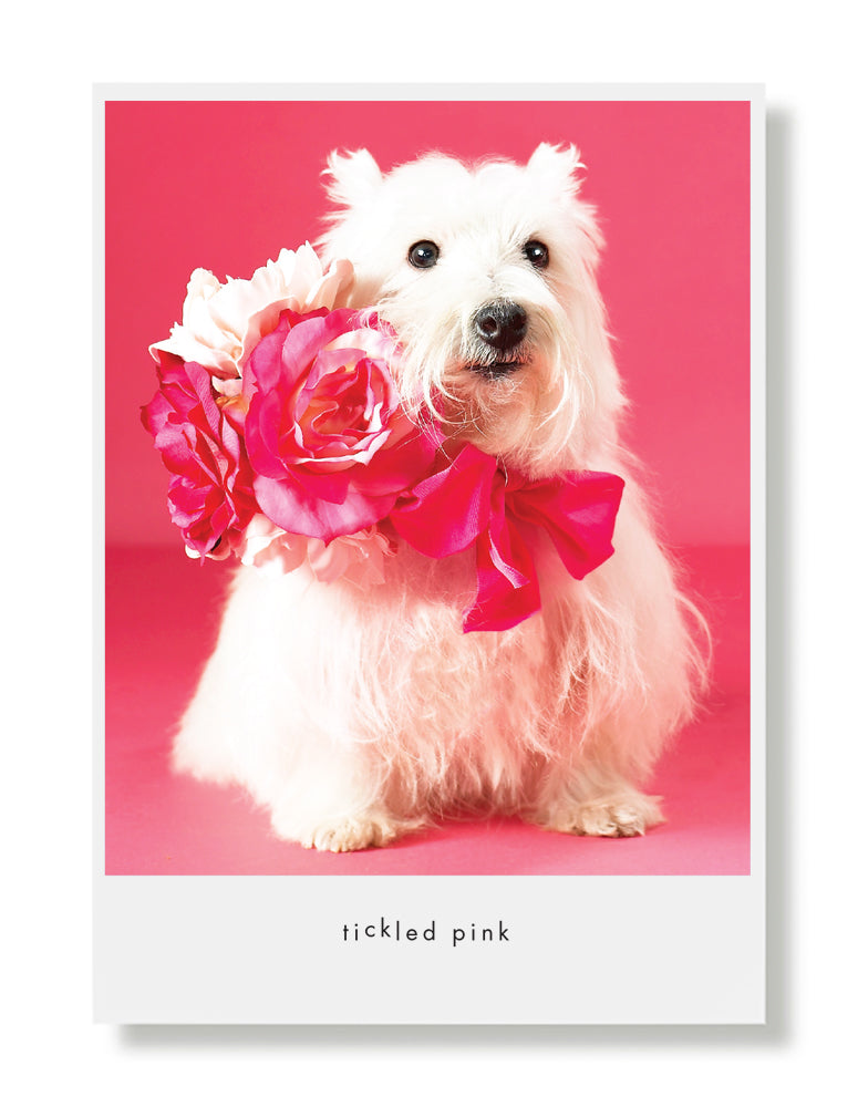 Sabrina Birthday Greeting Card