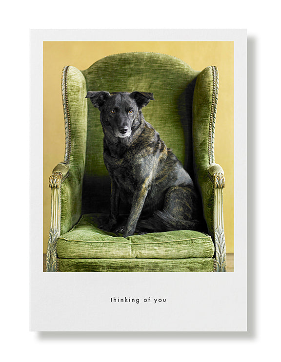 Bella Greeting Card