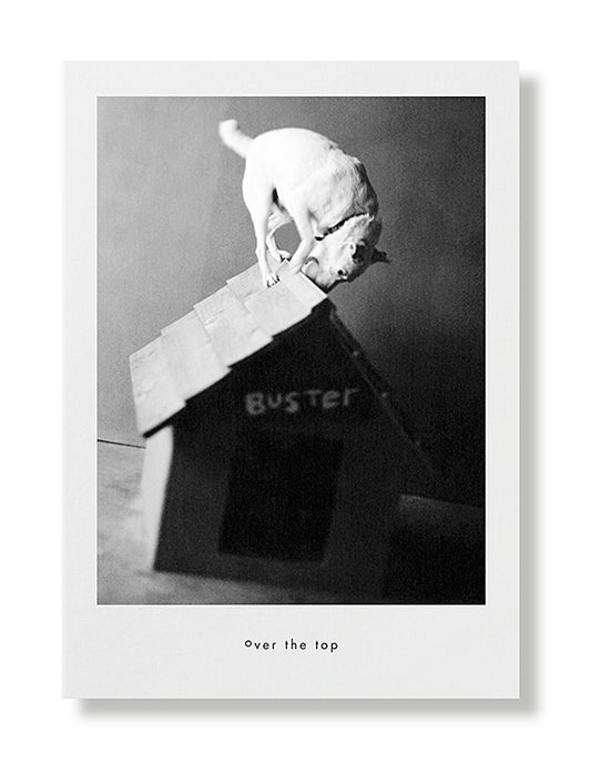 Rootie Tootie Greeting Card