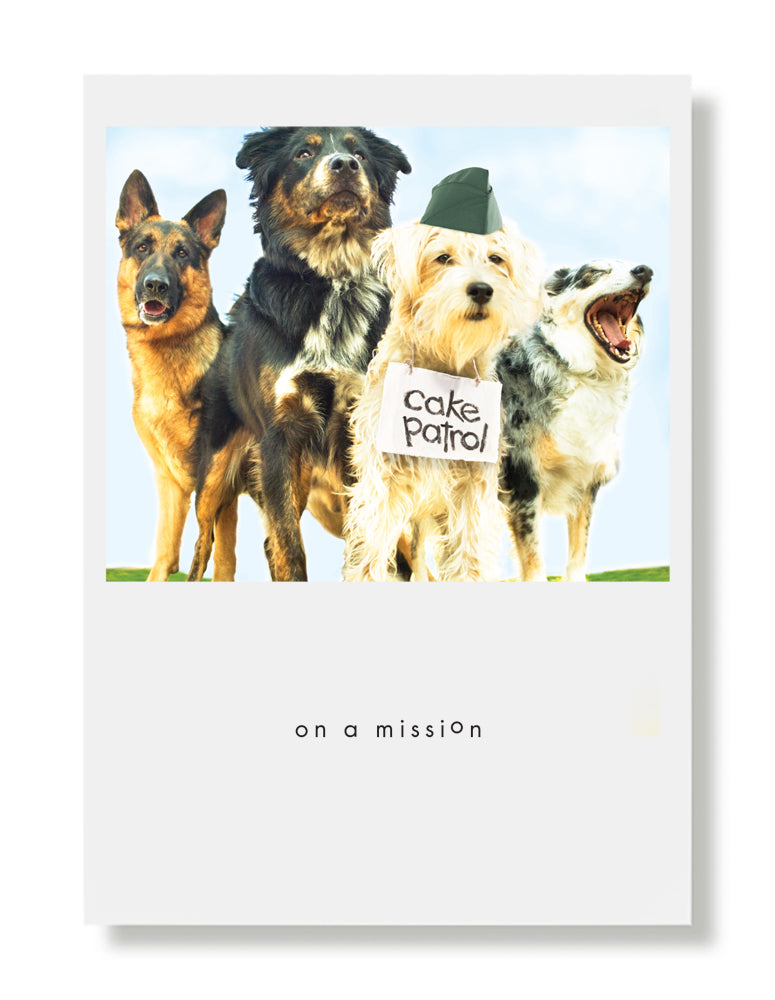 Nitro, Sam, Murphy and Zeus Birthday Greeting Card