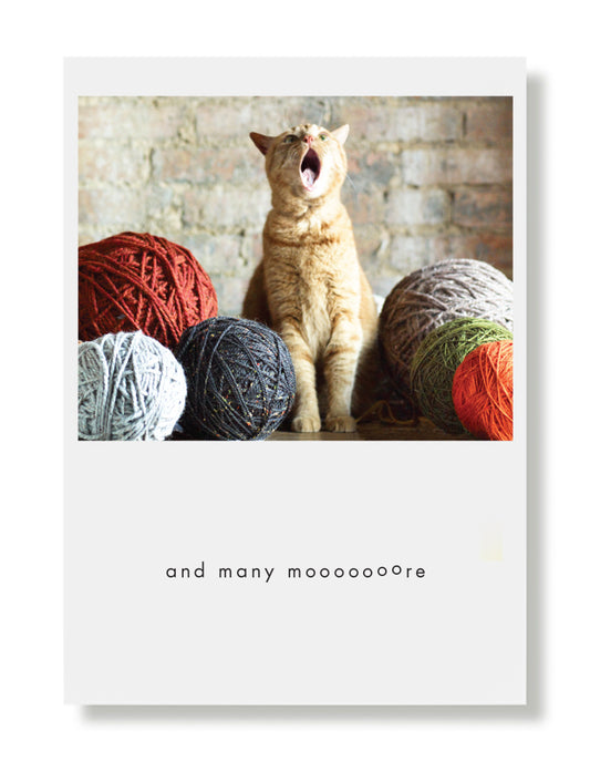 Sammy Birthday Greeting Card