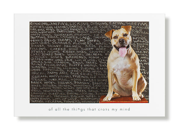 Jack Greeting Card