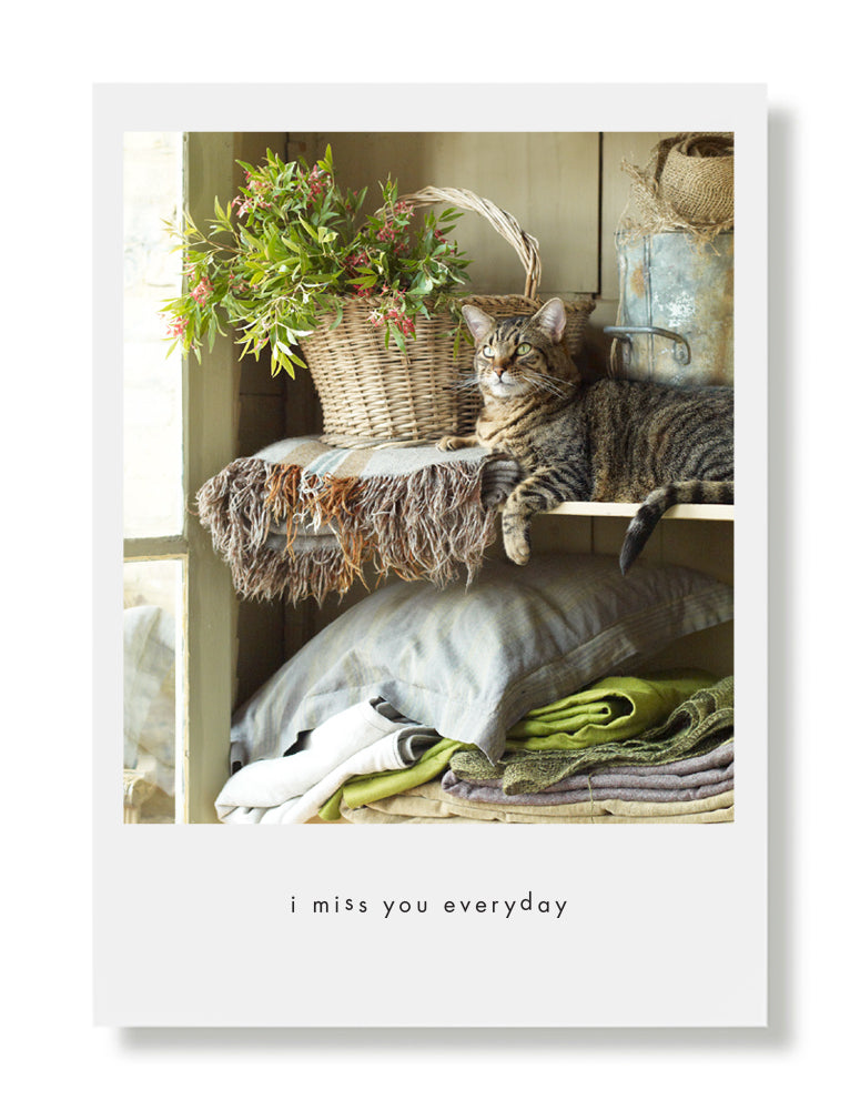 Benjamin Greeting Card