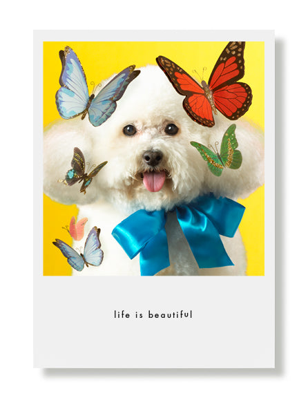 Teddy Greeting Card