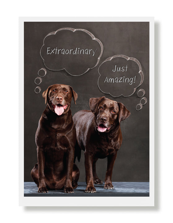 Sadie and Ranger Greeting Card