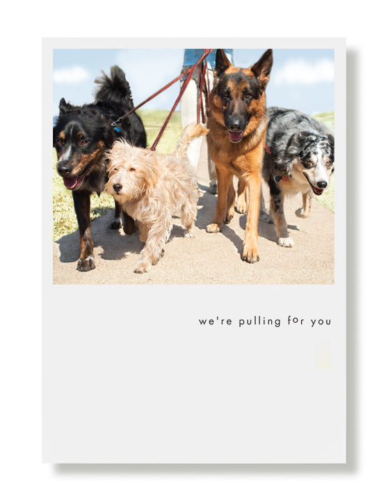 Sam, Murphy, Nitro and Zeus Encouragement Card