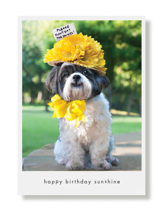 Charlotte Grace Birthday Greeting Card