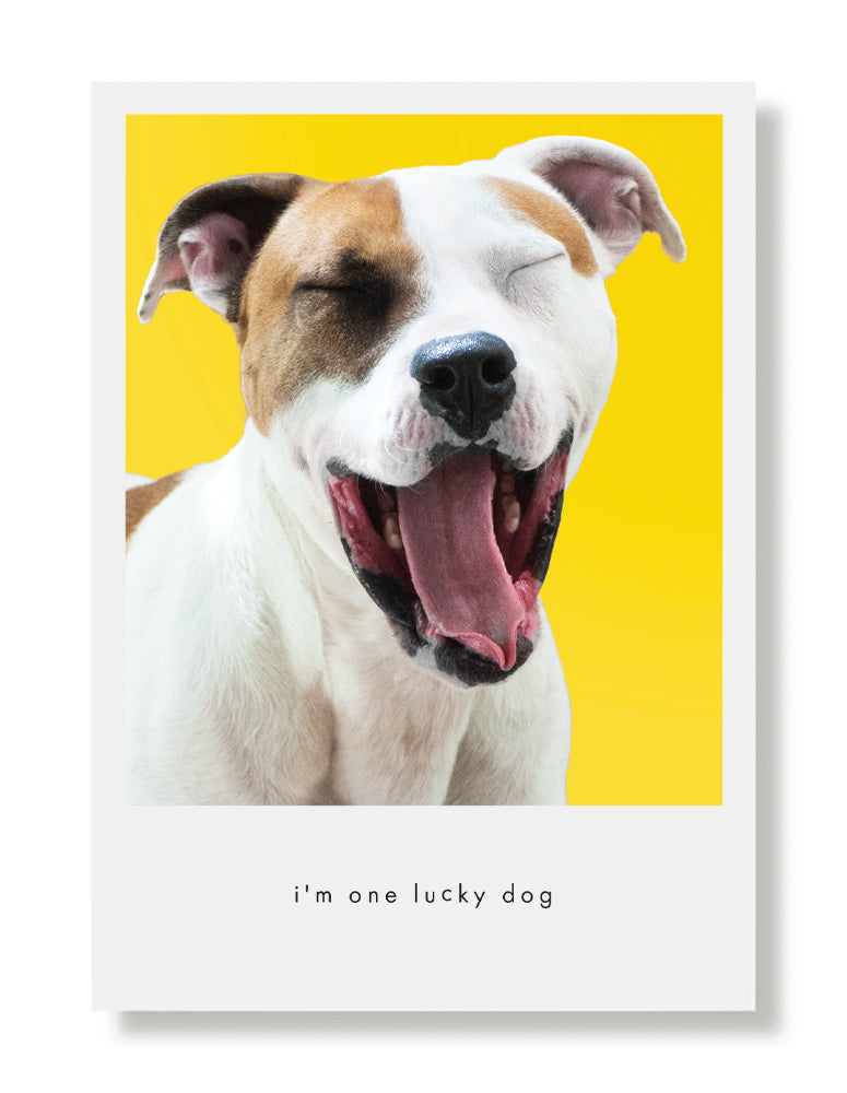 Tucker Greeting Card