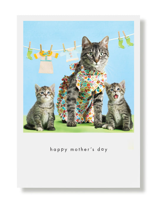 Luna And Her Kittens Greeting Card
