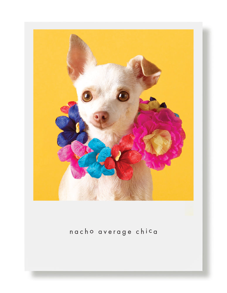 Pepita Birthday Greeting Card