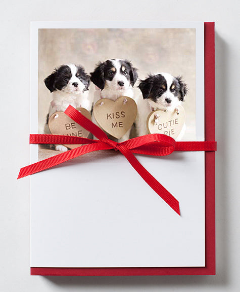 Terrier-Mix Puppies Valentine Greeting Card 10 Pack