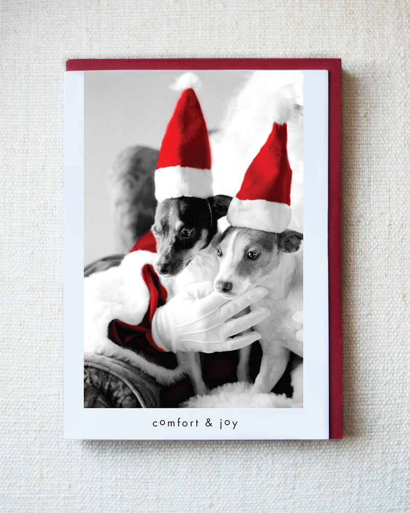 George and Gracie Greeting Card - Holiday 10 Pack