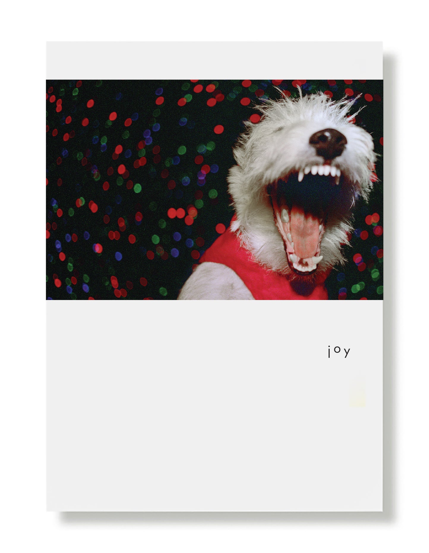 Buster Joy Greeting Card