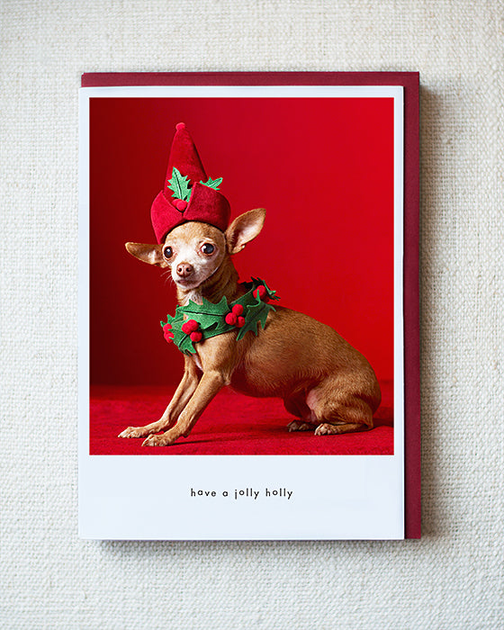 Blossom Greeting Card - Holiday 10 Pack